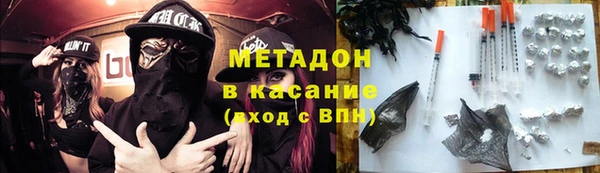 ГАЛЛЮЦИНОГЕННЫЕ ГРИБЫ Дмитриев