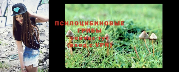 соль ск Гусь-Хрустальный