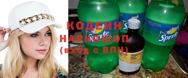 метадон Гусев