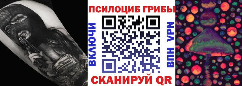 Купить закладки  Павлово  Псилоцибиновые грибы Psilocybine cubensis 